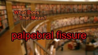 What does palpebral fissure mean [upl. by Ina145]