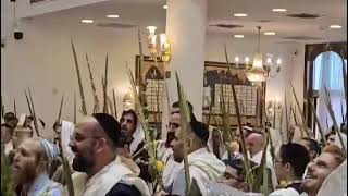 Hallel à Jerusalem ויתענג בה׳ [upl. by Picker235]