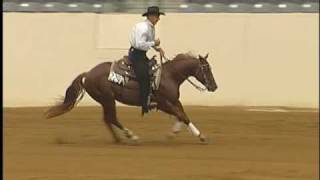 Reining Horses For Sale [upl. by Cutty]