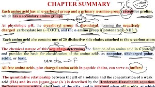 Biochemistry lec3 amino acids part two [upl. by Stolzer442]