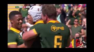 Springboks Top 5 Tries vs Wales [upl. by Dorkus]