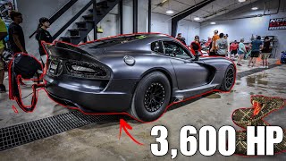 Legendary 3000 HP CALVO VIPERS Gather Under 1 Roof [upl. by Menendez]