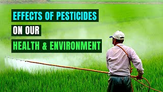 Devastating Effects of Pesticides on Our Health and Environment [upl. by Ardekan346]