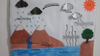 Water Cycle School ProjectWater Cycle projectWater Cycle modelWater Cycle 3D Model [upl. by Nilreb]