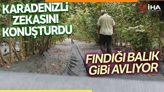 Fındık Toplamaya İnovatif Yöntem Fındığı Balık Gibi Avlıyor [upl. by Finstad945]