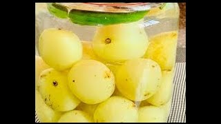 നെല്ലിക്ക ഉപ്പിൽ ഇട്ടത് Kerala style nellikka Uppilittathu gooseberrynellikka recipe malayalam [upl. by Yvon]