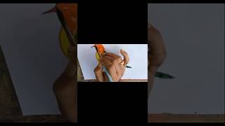 How to draw a bird easily in watercolor on paperpainting watercolorpaper shorts watercolor [upl. by Yaj]