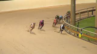 Rockhampton06112024Race5 [upl. by Eerehc]