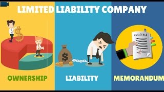 LLC explained  UAE Companies law Animation [upl. by Marie-Ann]