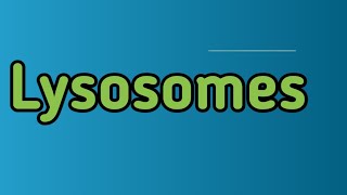 what is lysosomeswhich are enzymes in lysosomes [upl. by Peery943]