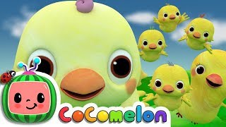 Five Little Birds 2  CoComelon Nursery Rhymes amp Kids Songs [upl. by Eudo711]