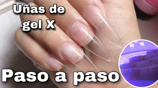 Uñas de gel X cómo aplicarloPaso a paso explicado [upl. by Soutor]