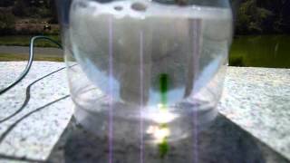 Photocatalytic Water Splitting [upl. by Atinid]