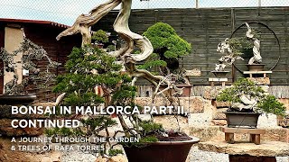 Bonsai in Mallorca II part two [upl. by Buyers]