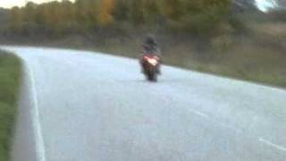 Honda CBR 954 Fireblade SC50 Wheelie [upl. by Lleinnad]