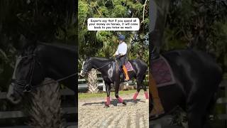 Cant argue with experts🫠equestrian equestrianhumor horses horseriding dressage [upl. by Enidanreb401]