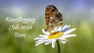 Kaartlegging voor het sterrenbeeld Ram  Juli 2024 ♈ [upl. by Nnahgiel]