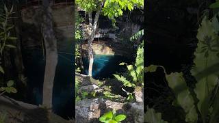 THIS is a TULUM CENOTE 🤩 [upl. by Carola]