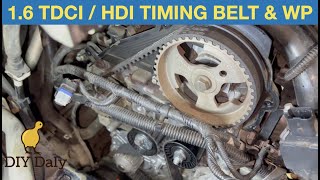 FORD 16 TDCI  PSA 16 HDI Timing belt and water pump replacement 2012 Cmax [upl. by Emelina]