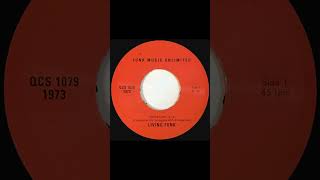 SOUL SAMPLE Living Funk  Fools Love [upl. by Beverly592]