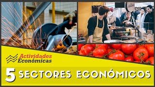 Los 5 sectores económicos Economía Ejemplos y características [upl. by Lilly157]