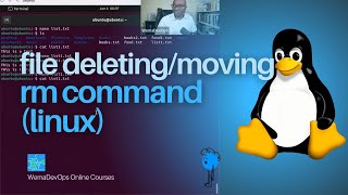 DeletingMoving Linux Files with rm command  Intro to Basic Linux Commands for beginners [upl. by Bonney]