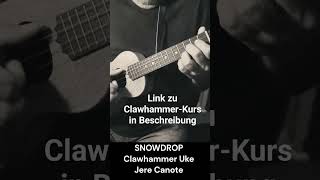 UKULELE CLAWHAMMER  SNOW DROP Jere Canote [upl. by Acisej]