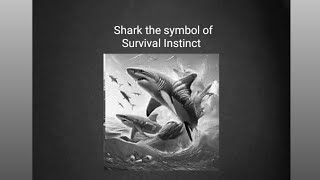 animalmotivationvideoshark qualities for mindsetmotivation Vitalmindsetmotivation [upl. by Laural]