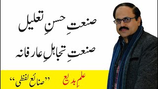 Sanat e Husn e Taleel  Sanat e Tajahul e Arifana  صنعتِ حسنِ تعلیل  صنعتِ تجاہلِ عارفانہ [upl. by Naz]