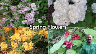 Whats Your Favorite Spring Flowering Shrub  Viburnum Azalea Lilac Calycanthus Weigela [upl. by Canty]