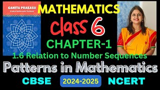 Class6 Maths Chapter1 Patterns In MathematicsPart Fहिन्दी ExplanationGanita Prakash New NCERT [upl. by Aitra]