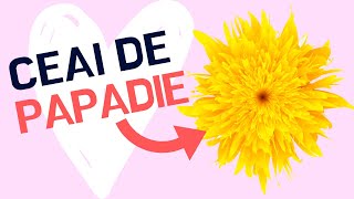 Ce Se Intampla Daca Bei Ceai De Papadie [upl. by Bailie]