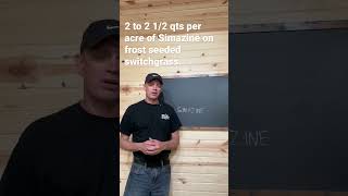 How much Simazine is safe on switchgrass deerhunting deerhabitat shorts switchgrass [upl. by Gilbert]