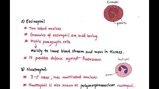 Basics of Immunology  White Blood Cells WBC or leucocytes [upl. by Welby]