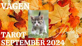 Vågen ♎️ September 2024 Tarot  Healer K [upl. by Matusow]