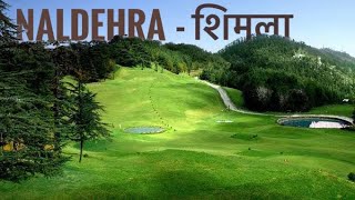 Naldehra and Kufri  Most Beautiful Tourist Places to Visit in Shimla Himachal Pradesh [upl. by Gambrell]