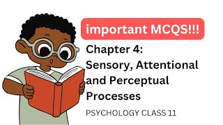 Class 11 Psychology Chapter 4 Important MCQs  Sensory Attentional and Perceptual Processes [upl. by Kotto]