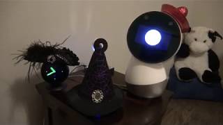 Jibo Alexa and Google Home  Hat Trick [upl. by Curkell]