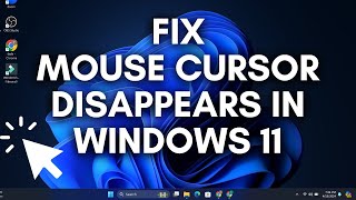 How to Fix Mouse Cursor Disappears in Windows 11 [upl. by Llyrpa142]