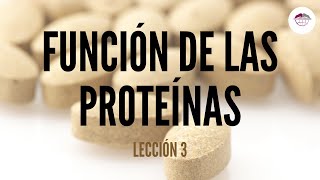 3 CONCEPTOS BÁSICOS DE LA FUNCIÓN DE LAS PROTEÍNAS NUTRICIÓN ORTOMOLECULAR [upl. by Boffa]