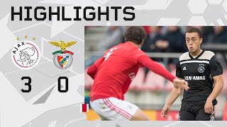 Highlights Ajax O19  Benfica O19  UEFA Youth League [upl. by Prince]