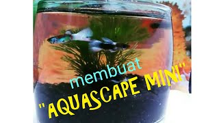 MEMBUAT AQUASCAPE MINI AGAR TERLIHAT CANTIK [upl. by Estel]