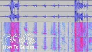 How To Show Spectrograms in Audacity  MUSICS How To Guides [upl. by Kraft992]