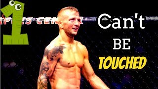 TJ dillashaw  Cant Be Touched Highlights 2019 [upl. by Bidget]