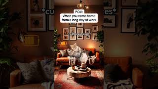 CAT MEMES 🐱When you come home from a long day of work catmemes relatable relationship [upl. by Llehsem]