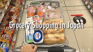 Grocery Shopping Trips in Japan 🛒 Summary of Late October Shopping 🎵 [upl. by Etnud]