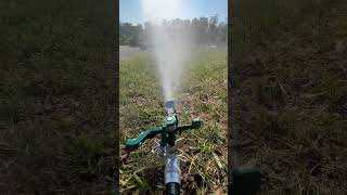 Sprinkler ASMR Watering after I just dethatched aerated and overseeded lawncare landscaping [upl. by Fredie]