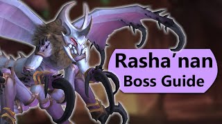 Rashanan Raid Guide  Normal and Heroic Rashanan Nerubar Palace Boss Guide [upl. by Sean561]