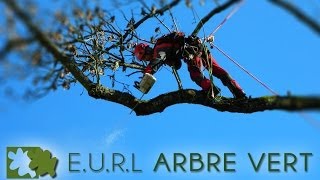 EURL ArbreVert  Elagage et abattage toute hauteur [upl. by Itsuj39]