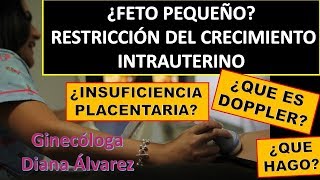 PROBLEMAS DE CRECIMIENTO FETAL POR GINECOLOGA DIANA ALVAREZ [upl. by Eerdua]